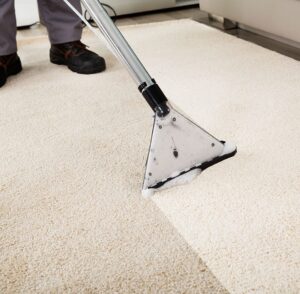 carpet cleaning emergency