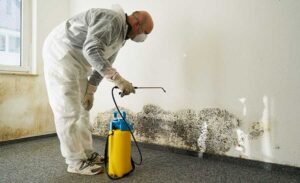 flood and fire solutions 